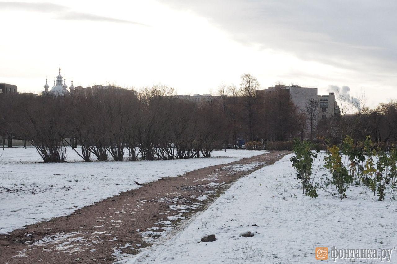 Сад Нева